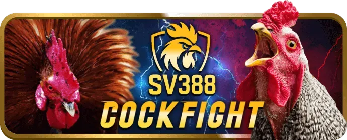 Tổng quan về nền tảng bet29 Thể thao với hình ảnh đa dạng các môn thể thao và biểu tượng bảo mật